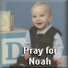 Noah